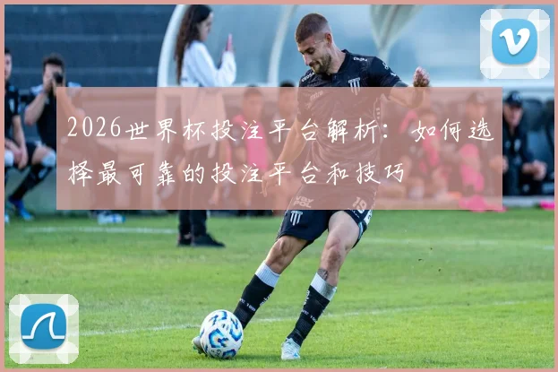 2026世界杯投注平台解析：如何选择最可靠的投注平台和技巧