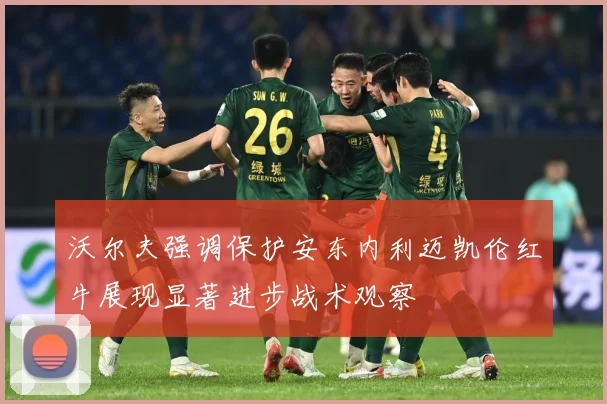 沃尔夫强调保护安东内利迈凯伦红牛展现显著进步战术观察