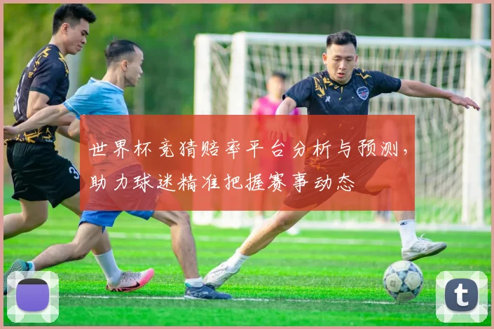 世界杯竞猜赔率平台分析与预测，助力球迷精准把握赛事动态
