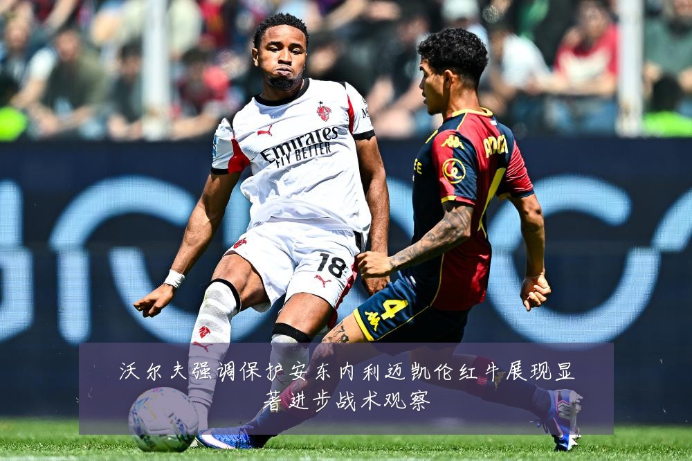 沃尔夫强调保护安东内利迈凯伦红牛展现显著进步战术观察