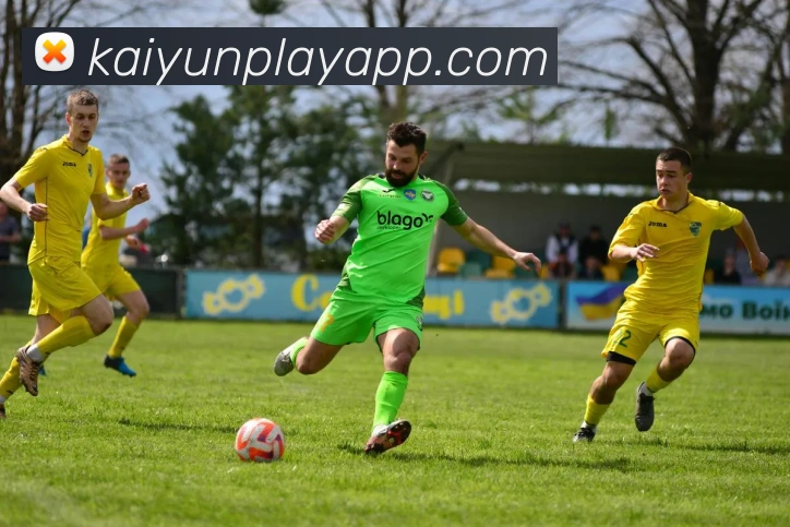 开云平台展示图