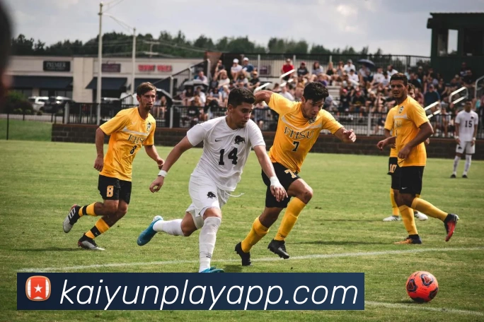 开云娱乐全站App